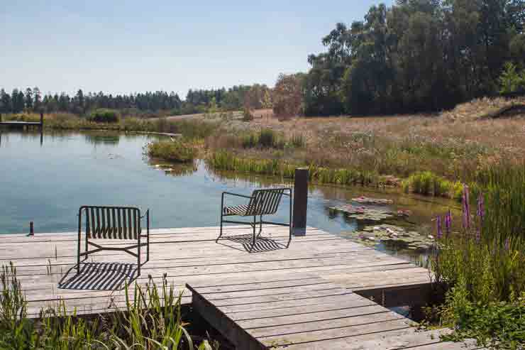 A swimming pond in the Cotswolds (photo � aquapic)