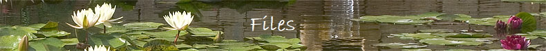 Files