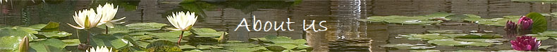  About Us