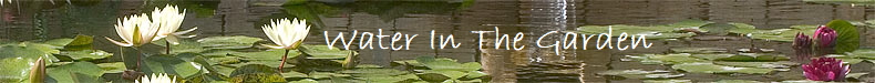          Water In The Garden