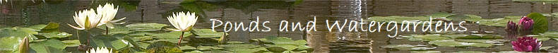                    Ponds and Watergardens