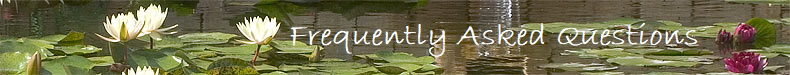                       Frequently Asked Questions