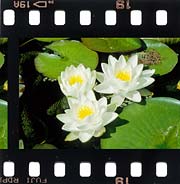 slide  (� aquapic)